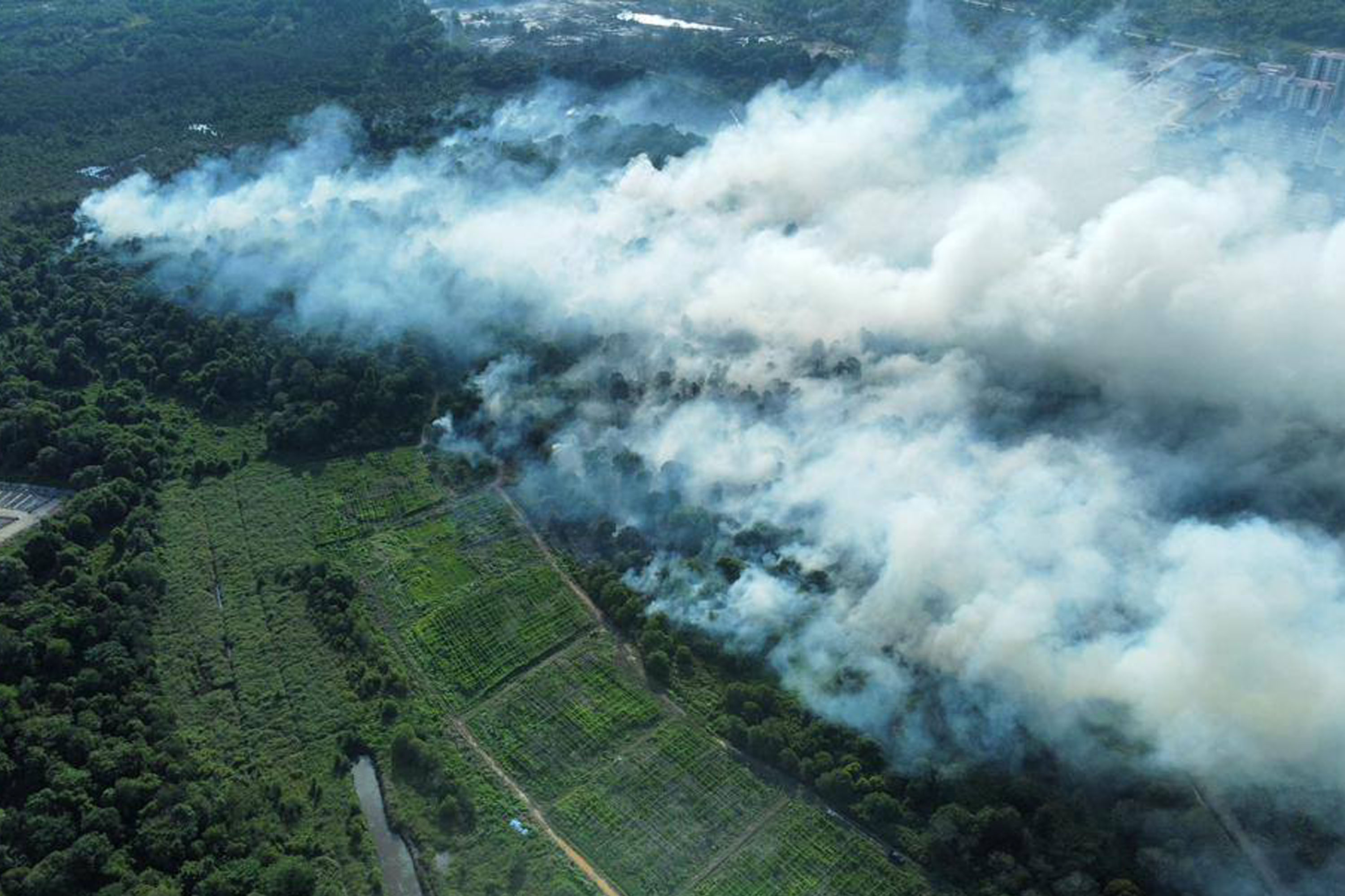 Aerial photo showing the forest fire off the Jalan Bypass Punggai-Sebana Cove highway on March 28.