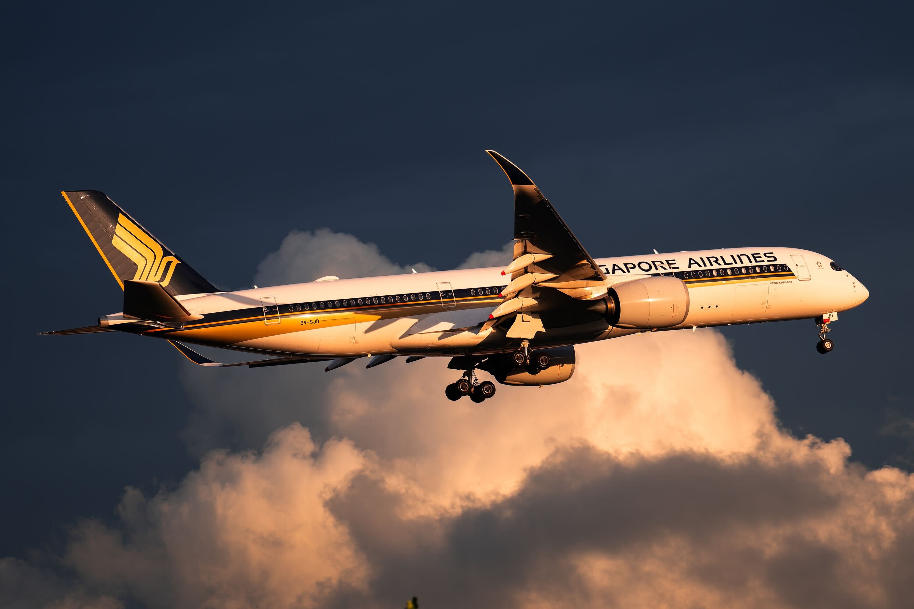 The aircraft used for the repatriation flight by Singapore Airlines.