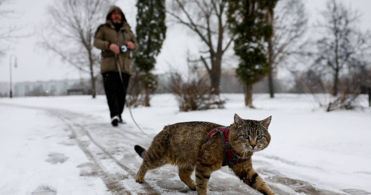 Blizzards blanket Moscow in snow after unusually mild winter