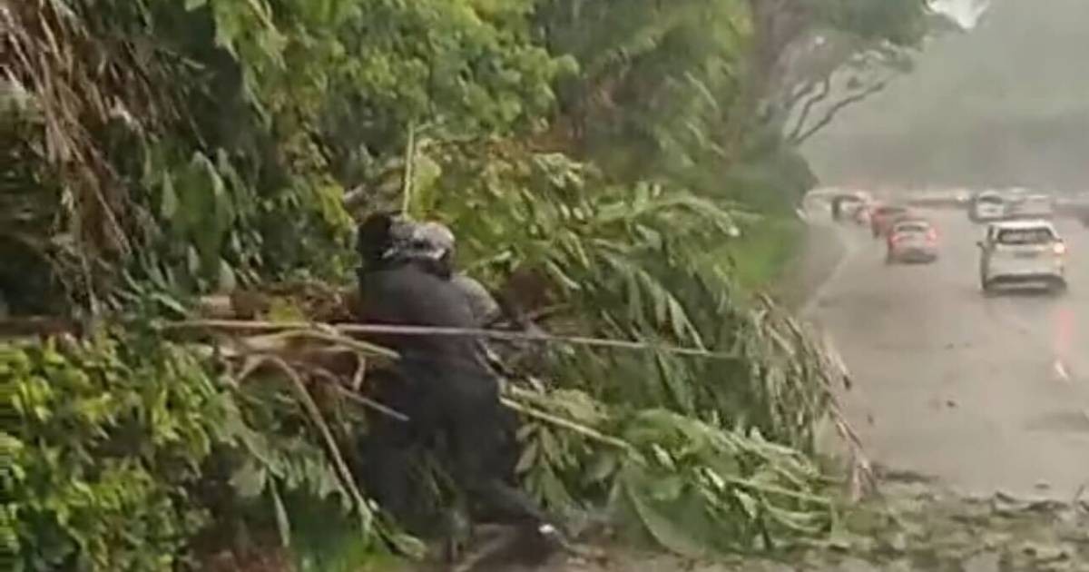 This made my day: Motorcyclists team up to remove fallen tree along PIE