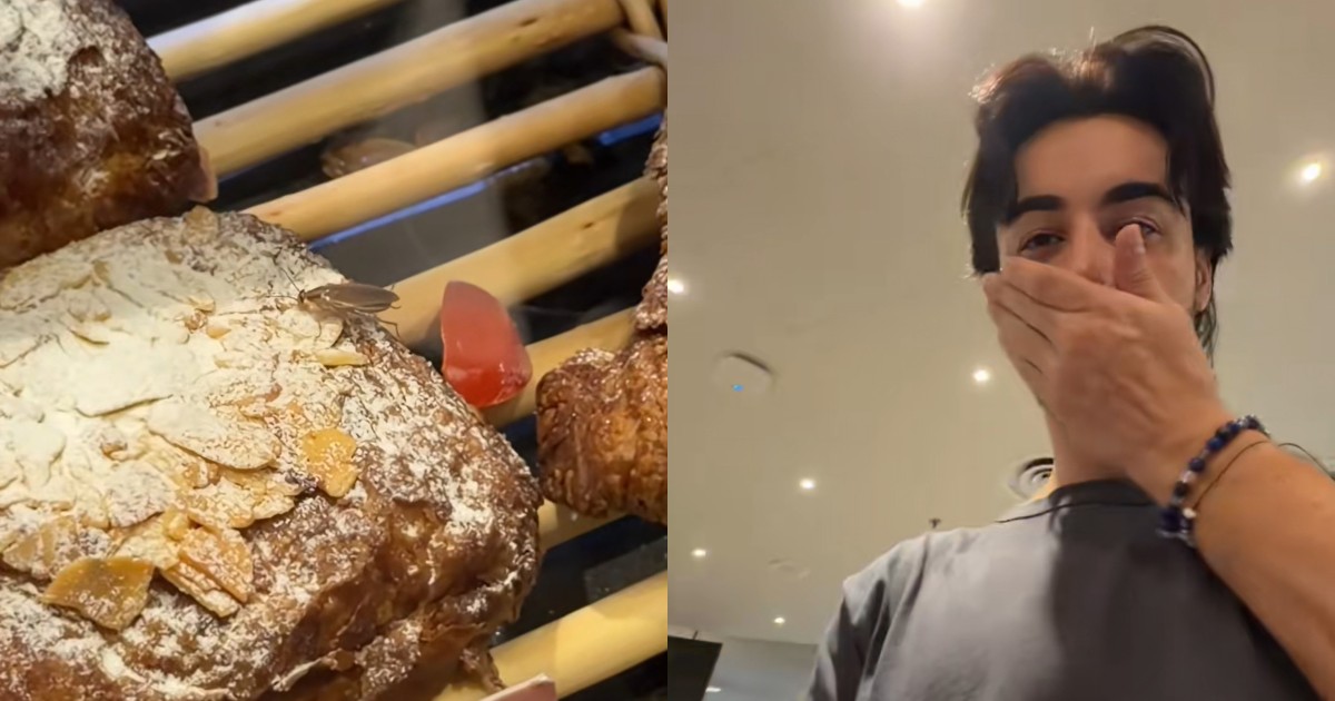'There's a cockroach inside': Pest crawls over pastries in Changi Airport T1 cafe, shocks customer