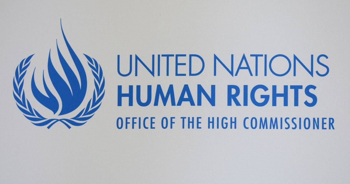 UN human rights office raises concern around trial of Chinese dissident artist