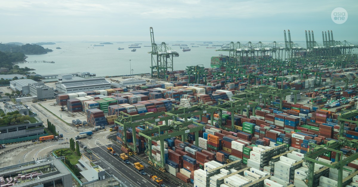 US removes 'inaccurate statement' on Singapore trade surplus; Govt to attend hearings on probes
