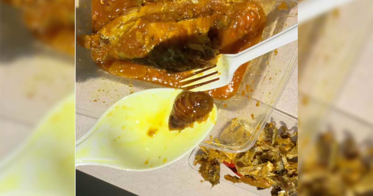 Diner finds cockroach in meal at Penang hospital canteen; premises ordered to close for 2 weeks