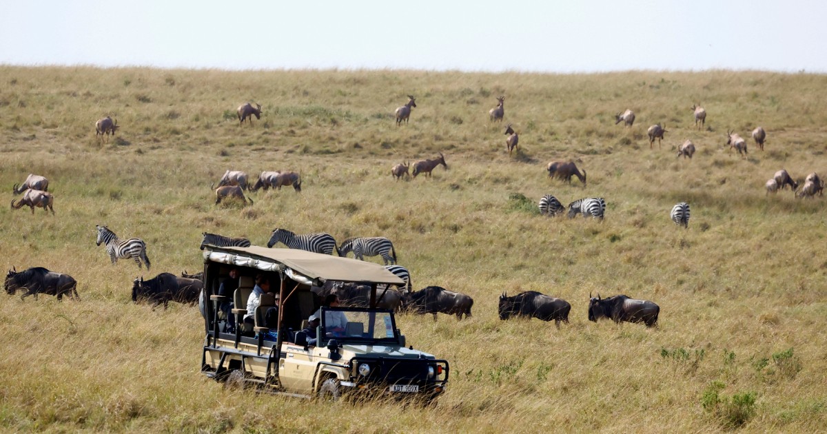 Kenyan activist tries to block new Ritz-Carlton safari lodge opening