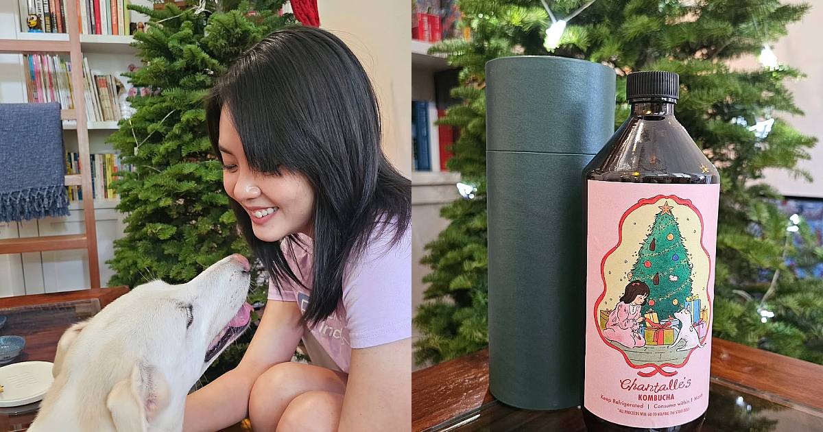 Chantalle Ng's Christmas kombucha selling out, profits going to animal shelters