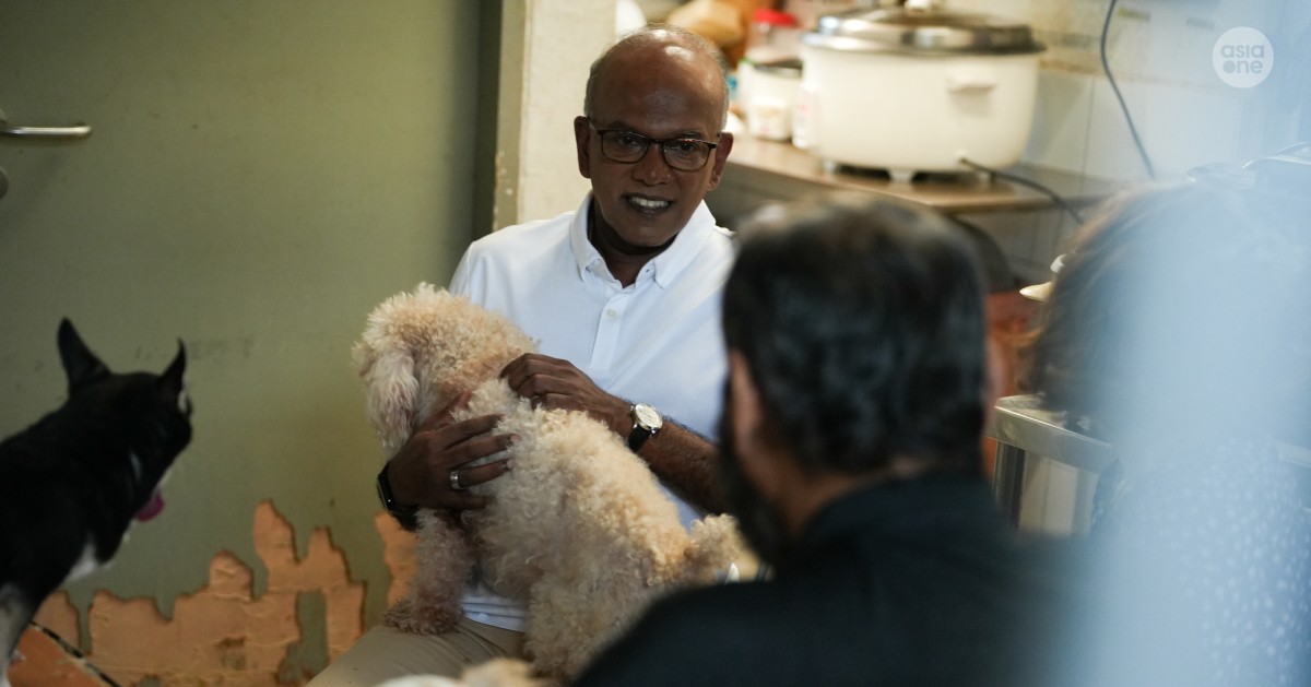 AVS correct to act against Animal Lovers League, was 'exceptionally lenient' in rental arrears: Shanmugam