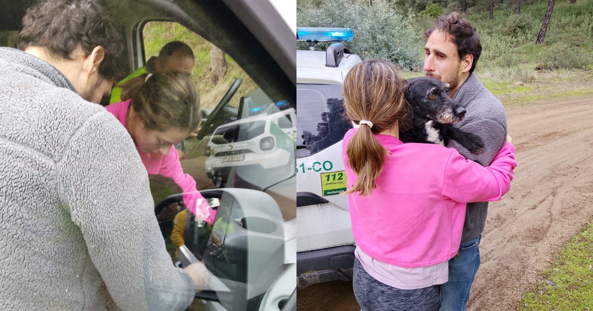 Dog missing in Spanish train crash rescued after 4 days