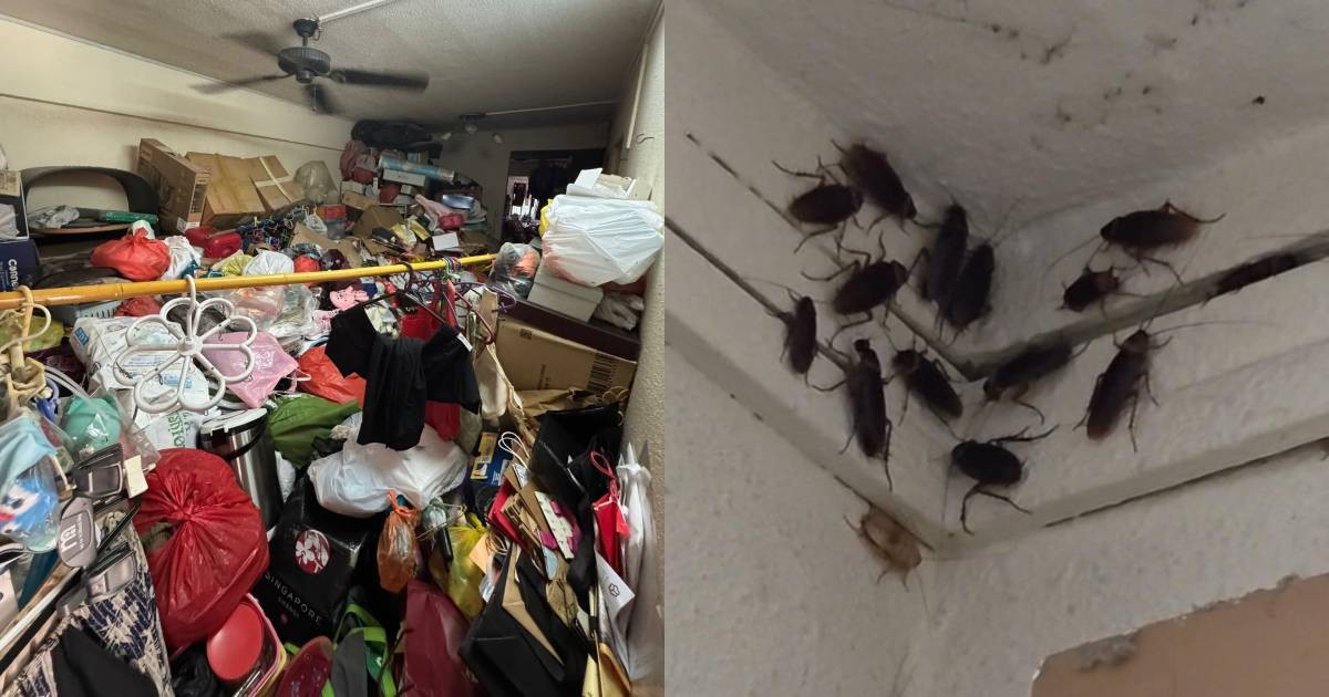 Over 50 volunteers spend 6 hours cleaning elderly woman's foul-smelling, cockroach-infested Yishun flat