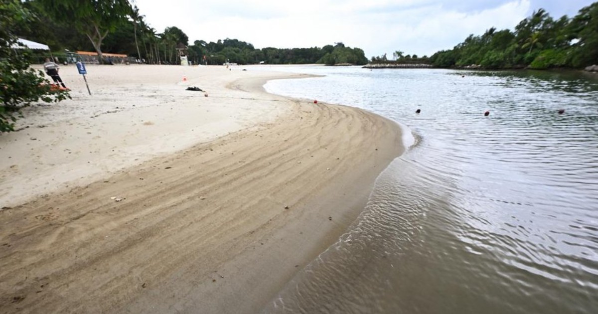 NEA monitoring E. coli at Sentosa after elevated bacteria levels delay World Aquatics events