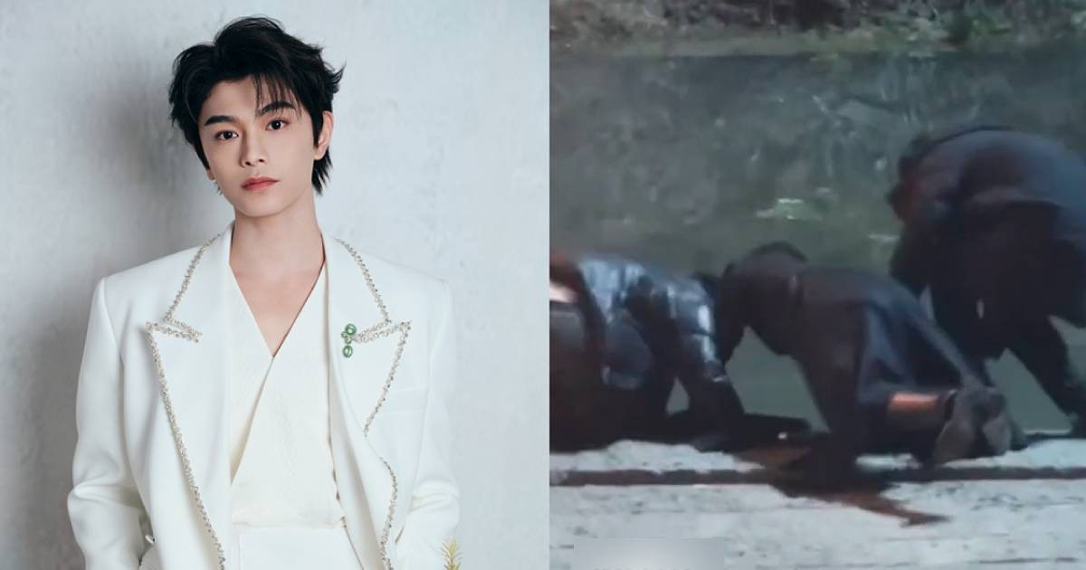 Ding Yuxi praised for 'quick reflexes' in helping save staff member on drama set