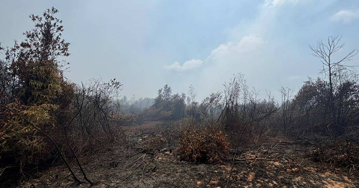 Johor firefighters battling 2 raging fires in Pengerang, NEA says smoke haze could continue to affect Singapore