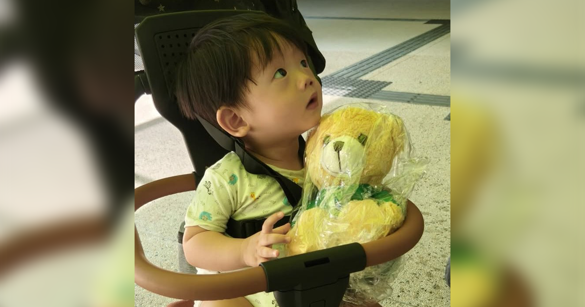 This made my day: Commuter and baby find companion in Tower Transit plushie