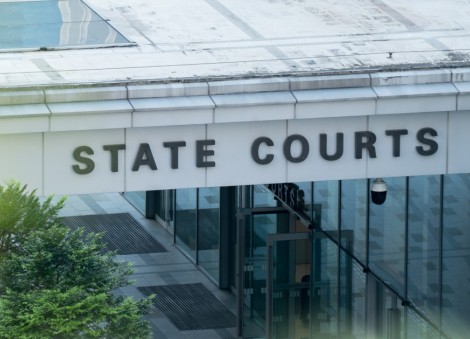 Over 2 years' jail for man behind 'deplorable, sadistic' acts of stabbing 4 cats, killing 2 others