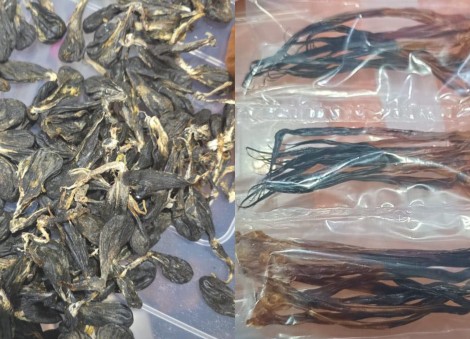 Over $11m worth of tiger, bear, primate and python parts seized from JB home