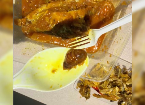 Diner finds cockroach in meal at Penang hospital canteen; premises ordered to close for 2 weeks