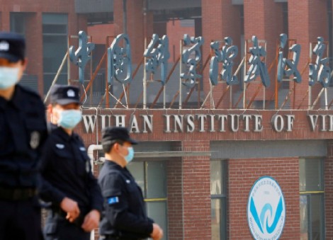 Chinese researchers find bat virus enters human cells via same pathway as Covid