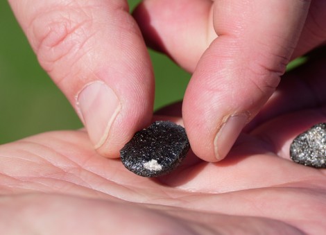 Meteorite hunters scour Ohio for fragments of 7-ton space rock that crashed into Earth