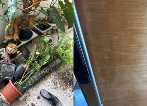 'Disheartening': Bukit Batok resident files police report after home garden gets destroyed